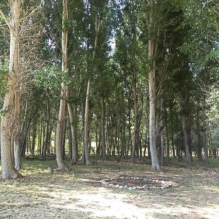אוספז'טה Cabana Ecologica מראה חיצוני תמונה