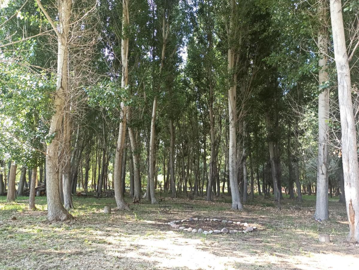 אוספז'טה Cabana Ecologica מראה חיצוני תמונה